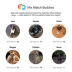 Embark Dog DNA Test Breed Identification Kit
