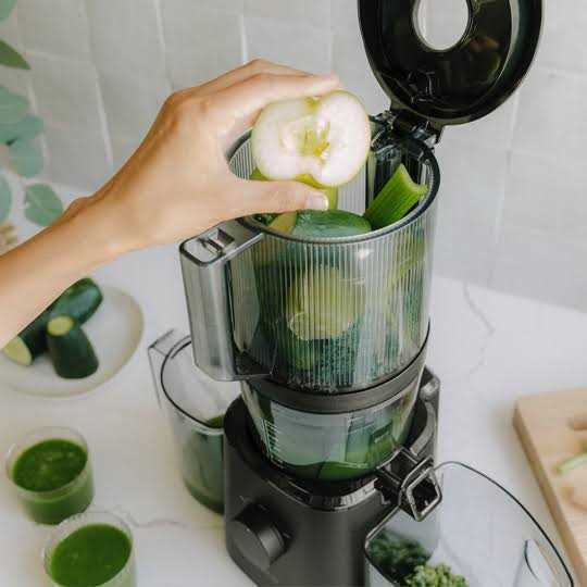 Nama Cold Press Juicer - J2