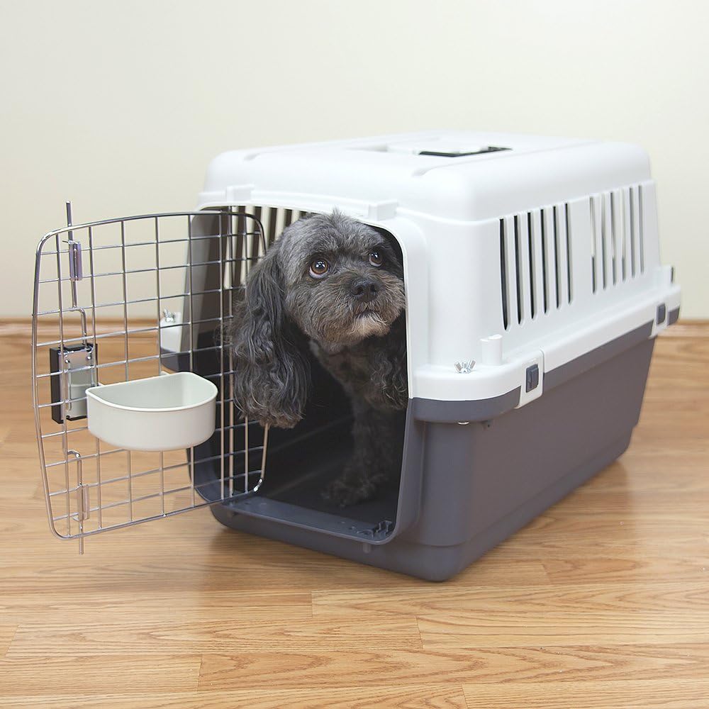 SportPet Designs Plastic Airline Approved Rolling Dog Kennel With Wire Door, XXX-Large, Gray, 48in L x 32in W x 36in H