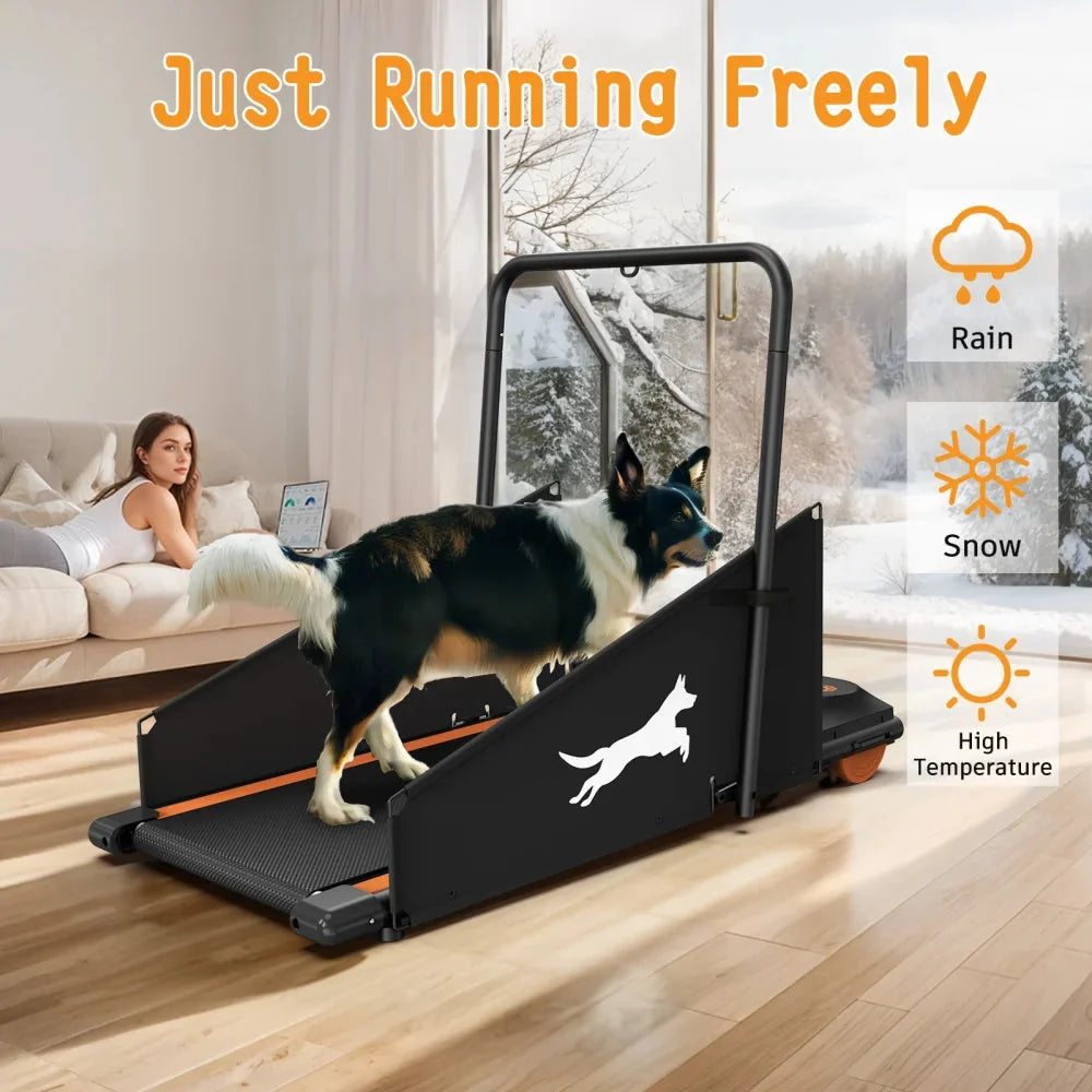 Dog Treadmill For Small And Medium Dogs - W215P235106