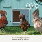 Omlet Smart Automatic Chicken Coop Door Opener - Wi-Fi Enabled