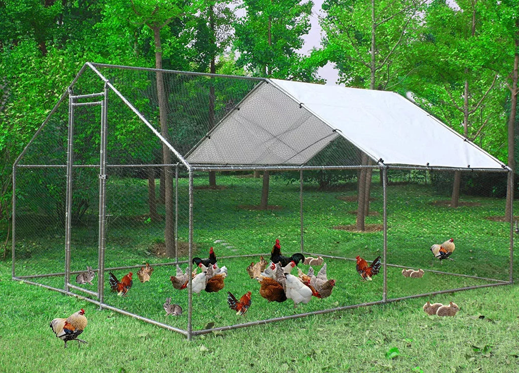 Metal Walk-In Chicken Run Cage With Cover, 10'L X 6.6'W X 6.56'H