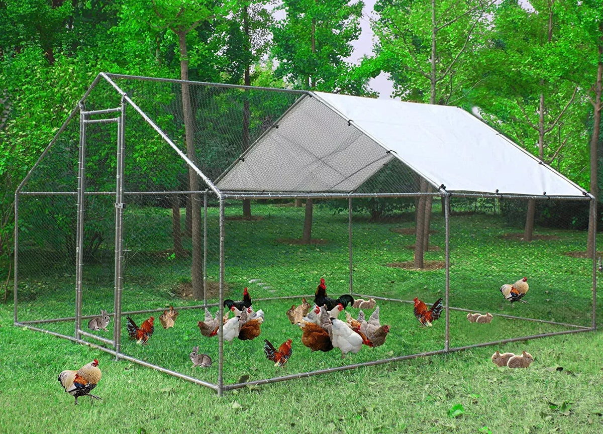 Metal Walk-In Chicken Run Cage With Cover, 10'L X 6.6'W X 6.56'H