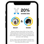 Embark Dog DNA Test Breed Identification Kit