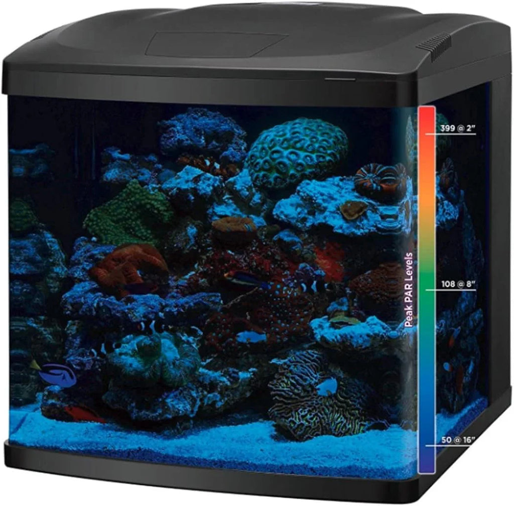 BIOCUBE 32 Gallon Glass Aquarium Tank And Stand Kit - LED