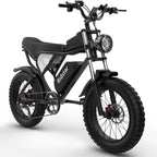Electric Bike for Adults Ridstar, 20" Fat Tire Electric Motorcycle, 1000W Electric Bike with Removable 48V/20ah Battery E - Bike Shimano 7 Full Suspension Electric Bicycle