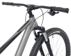 Kent Bicycles 29" Men'S Trouvaille Mountain Bike Large, Black and Taupe