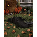Skeleton Crow Ground Breaking Prop