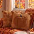 Fall Throw Pillow Covers 18x18 Set of 2 Reversible Rust Pumpkin Plush 3D Embroidery Pumpkin Covers, ideal for couch, sofa, autumn boho farmhouse accent; Perfect & Thanksgiving gift