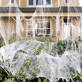 Halloween Spider Decorative Accent