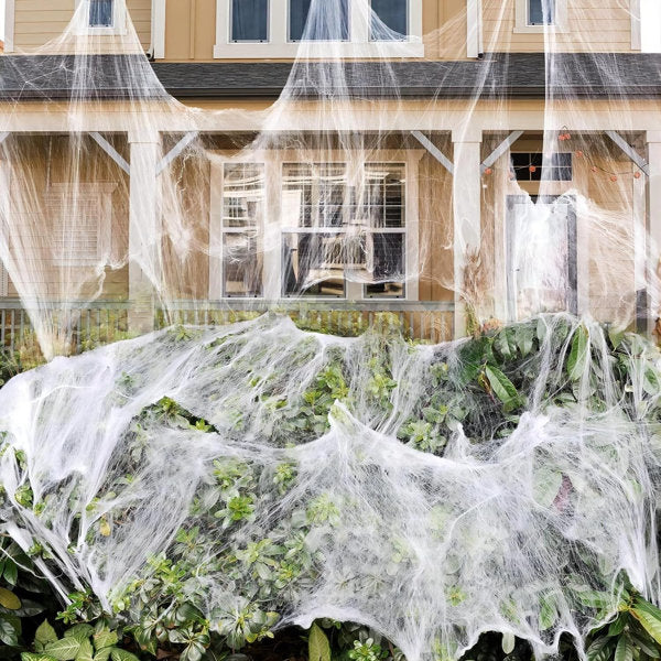 Halloween Spider Decorative Accent