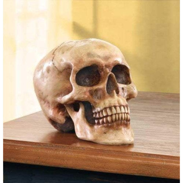 Grinning Highly Realistic Replica Human Skull Statue Home Décor 6.5X4.25X4.6"