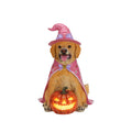 Alfani Lighted Pumpkin Halloween Dog Statue, Resin Witch Pet Decor with Batteries, 4 Styles