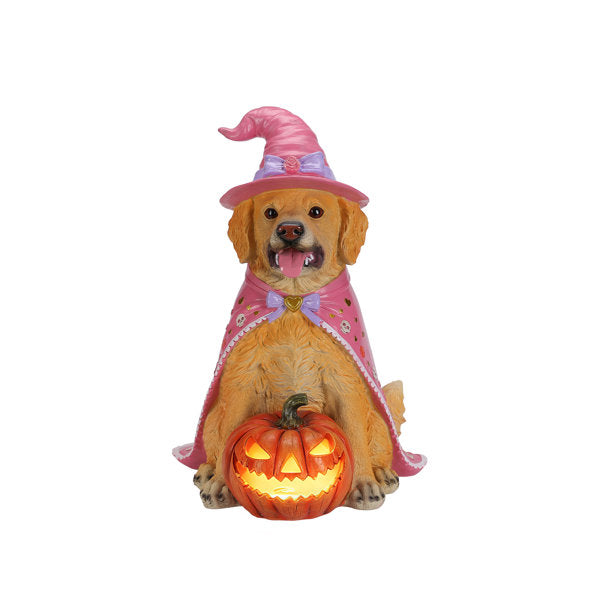 Alfani Lighted Pumpkin Halloween Dog Statue, Resin Witch Pet Decor with Batteries, 4 Styles