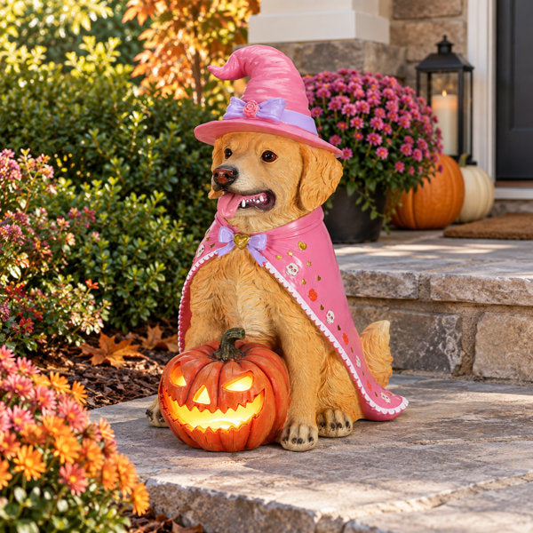 Lighted Halloween Dog Statue, Durable Resin Witch Pet Pumpkin Decor with Batteries, 4 Designs